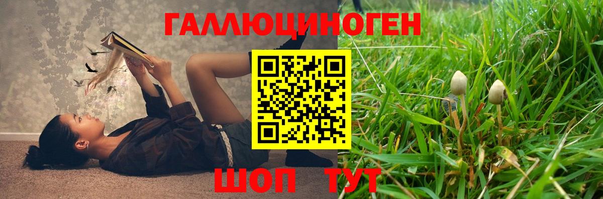 Саранск  Псилоцибиновые грибы MAGIC MUSHROOMS  Вход с VPN 
